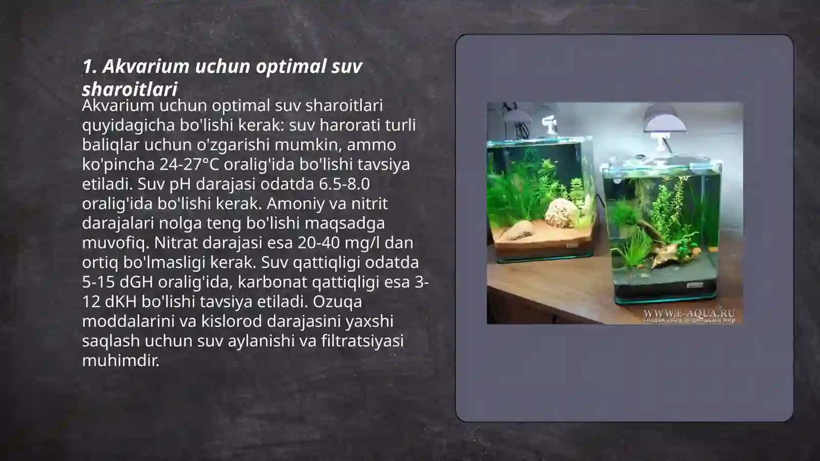 Akvarium terarrumda yashovchilarni parvarishlash 3