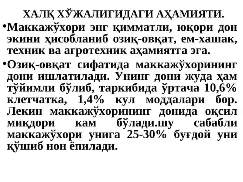 Маккажўхори биологияси ва етиштириш технологияси 3