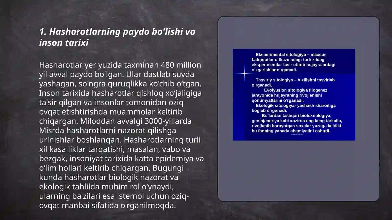entomologiya fanining rivojlanish tarixi hashoratlar evolyutsiyasini tahlil etish 3