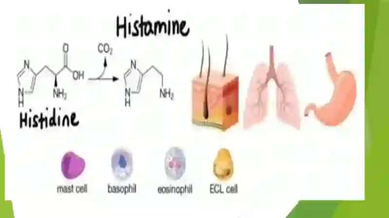Antigistamin dori vositalarining klinik farmokologiyasi 3