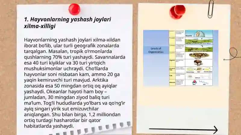 Biologik xilma xillik va ekotizimlarda o'rganish( hayvonlar boyicha) 3