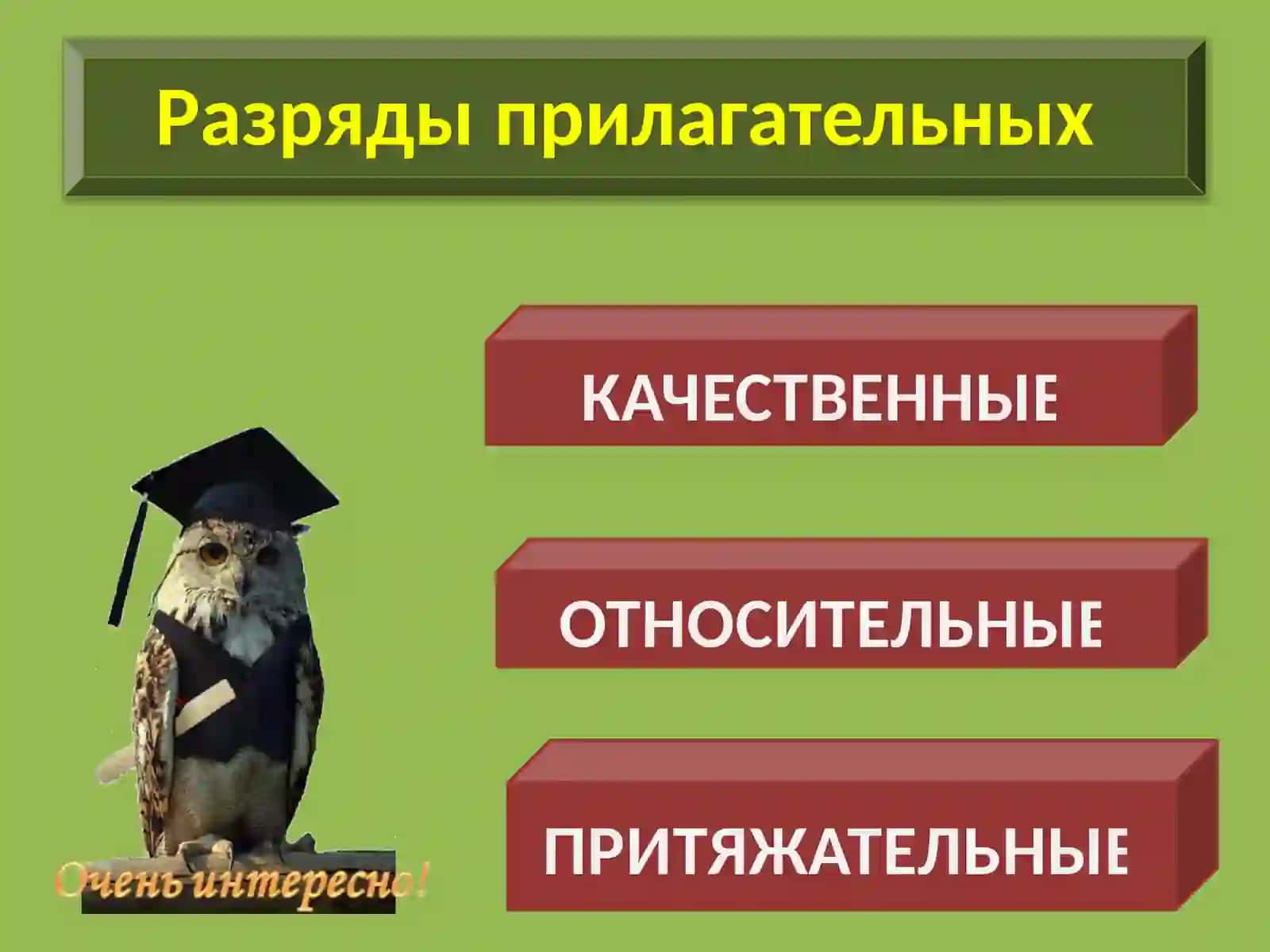 Имя прилагательное. Разряды прилагательных 3