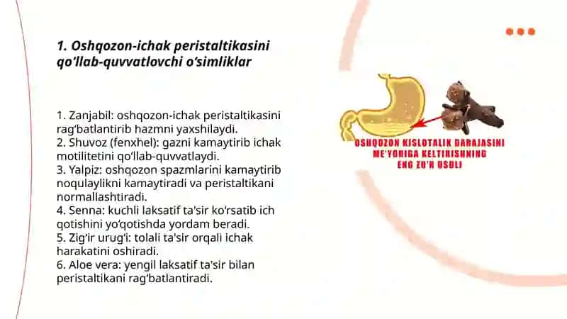 Oshqozon ichak faoliyatiga ta'sir qiluvchi o'simliklar 3