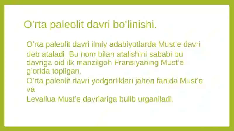 O’rtapaleolit davri 3