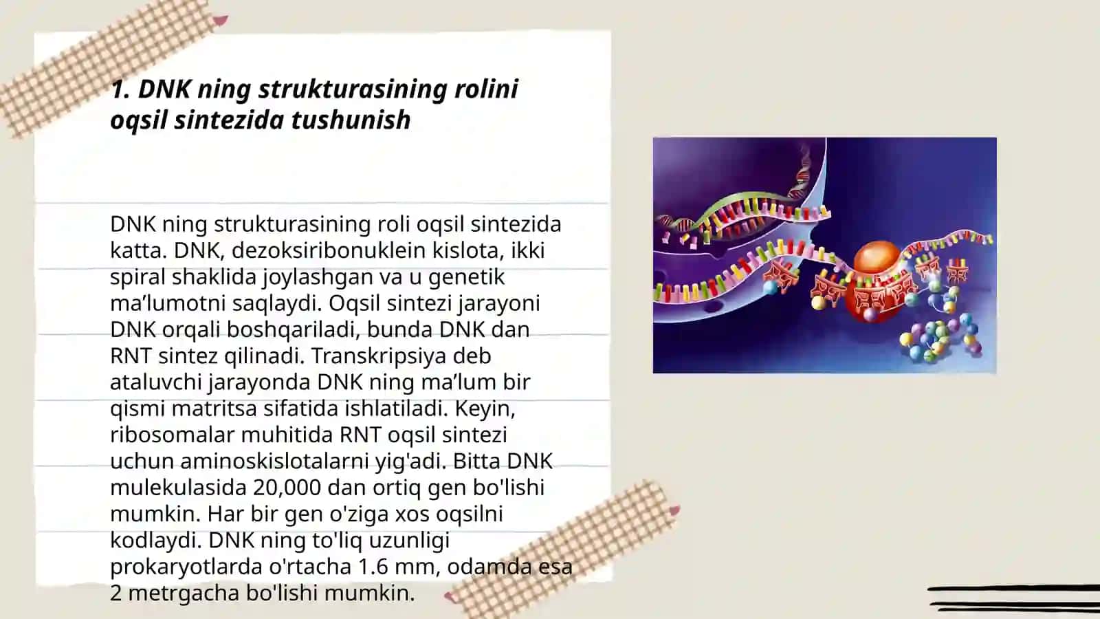 DNK ning oqsil biosintezidagi roli.Genetik injeneriya 3