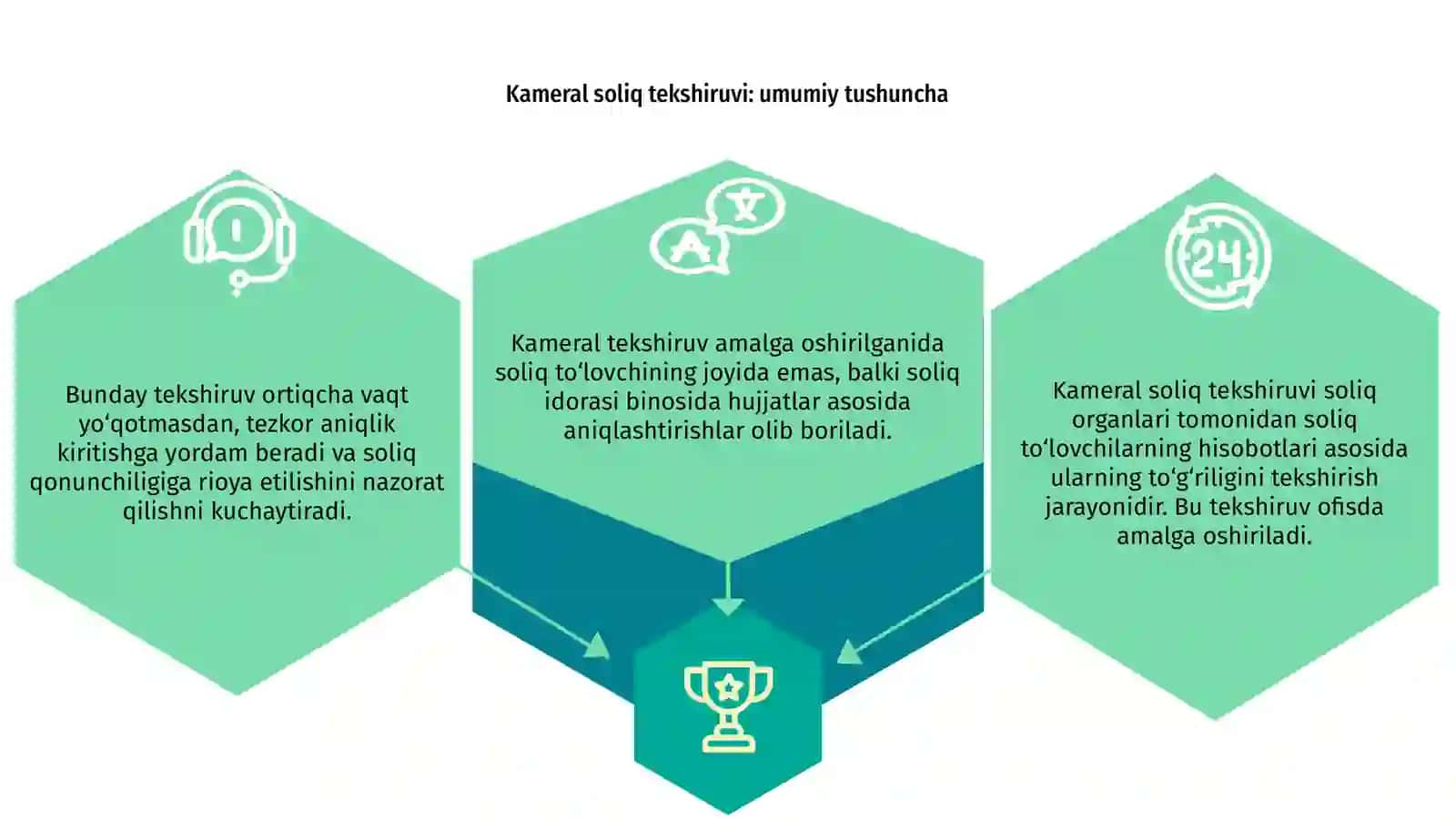 Kameral soliq tekshiruvi 3