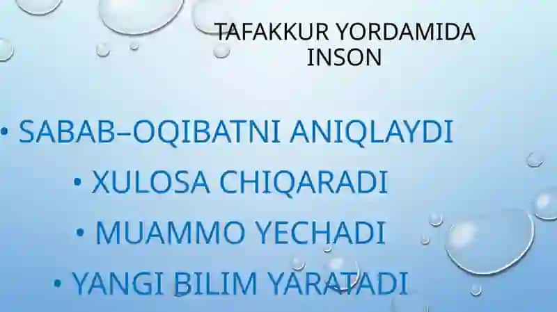 Tafakkur 3