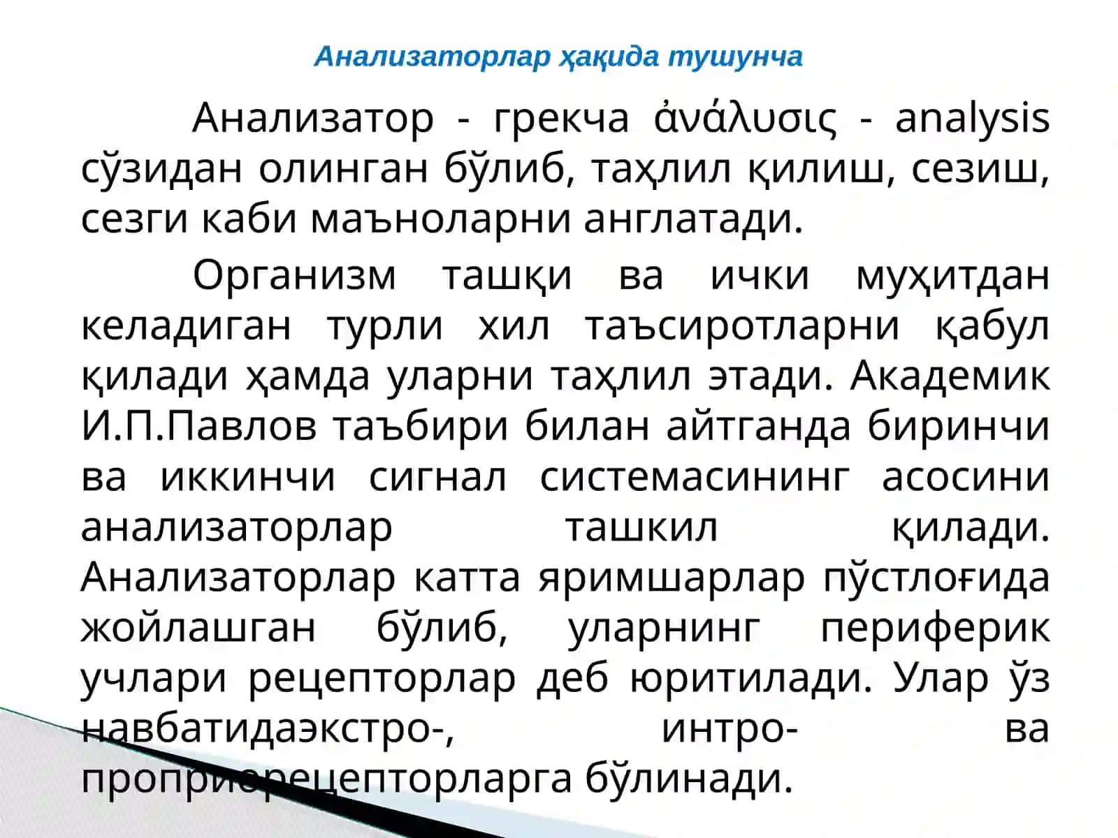 Анализаторларнинг тузилиши ва аҳамияти 3