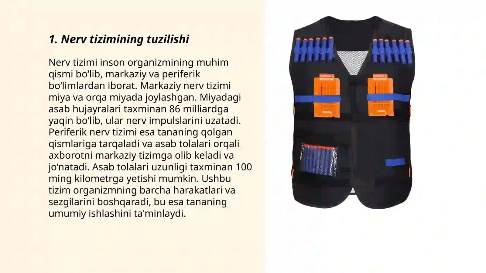 Organizmning nerf immun endokrin boshqariluvi 3