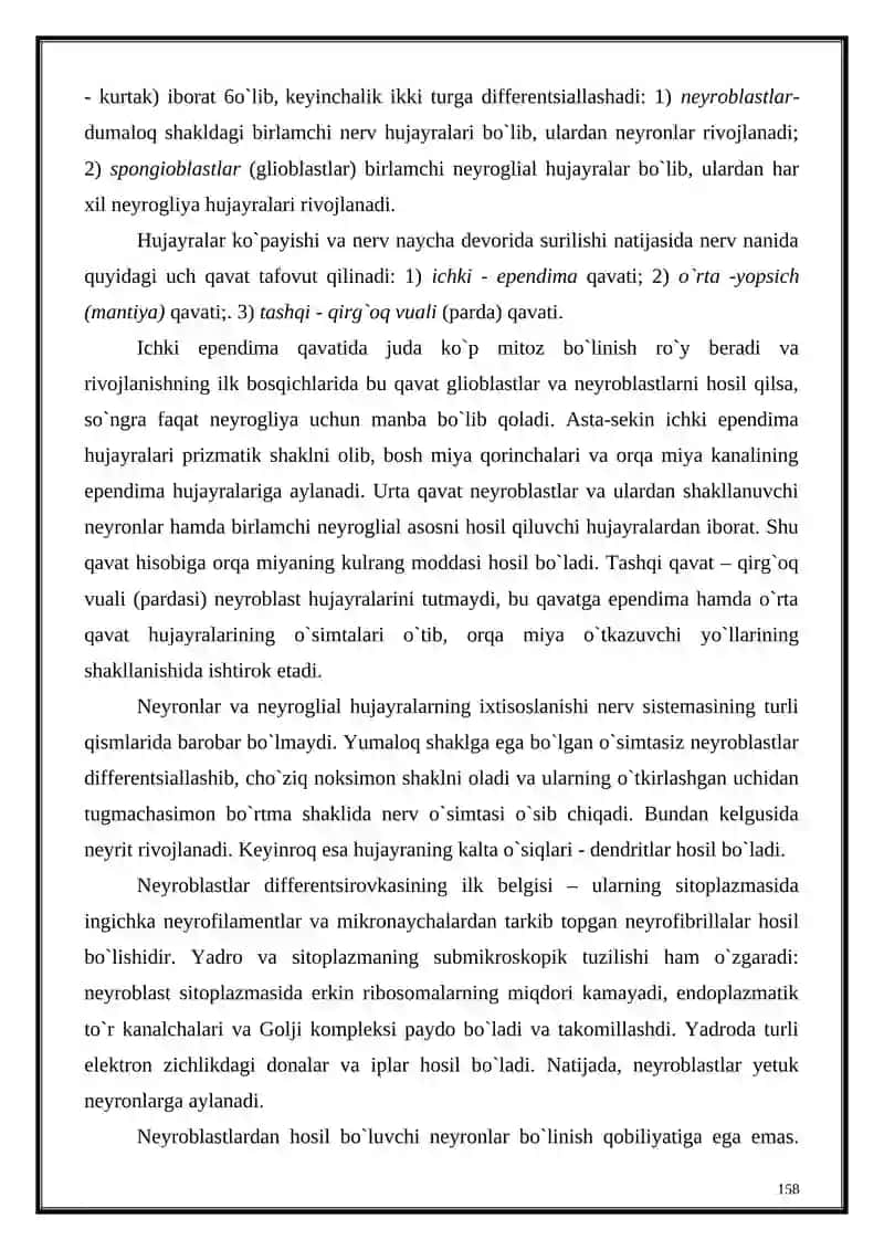 Nerv to`qimasi taraqqiyoti 3