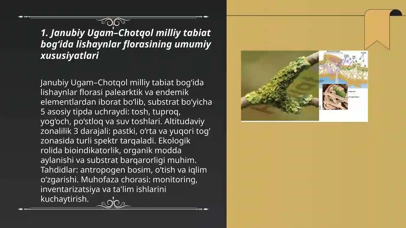 Lishayni florasining taksonomiyasi va identifikatsiya 3