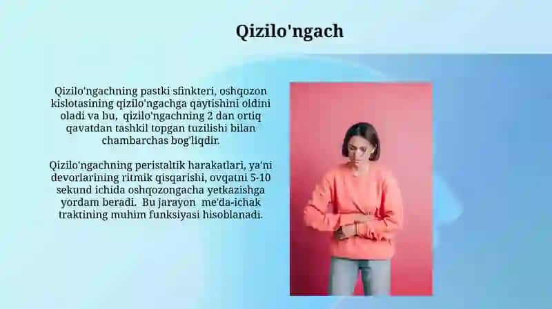 Ovqat hazm qilish tizimi 3