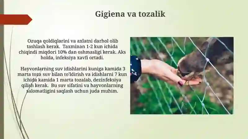 Tabiat burchagida hayvonlarni saqlash va parvarish qilish 3