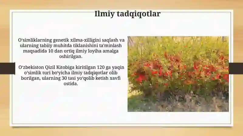 Oʻzbekiston Respublikasi Qizil Kitobiga kiritilgan oʻsimliklar 3