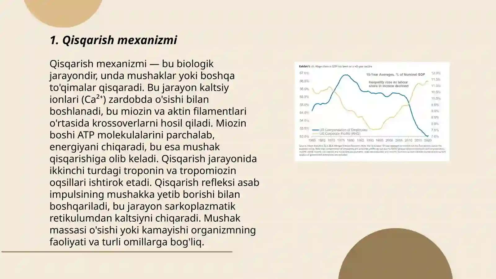 Muskul qisqarishi apparat oqsilari 3