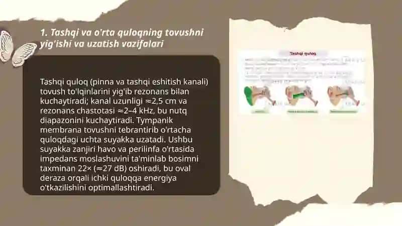 Eshitish analizatorining vazifalari fiziologiyasi 3
