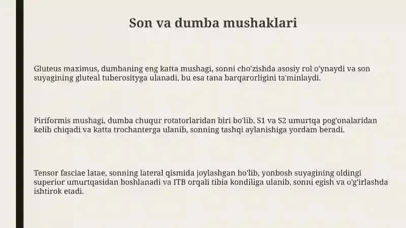 Chanoq va son mushaklari 3