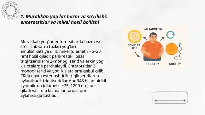 Murakkab yogʻlar almashinuvi va semizlik 3