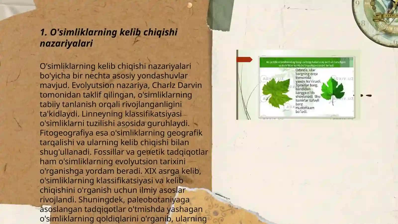 Oʻsimlik kelib chiqishi va hujayraviy tuzilishi 3