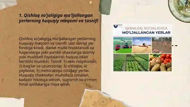 Qishloq xoʻjaligiga moʻljallangan yerlarni muhofaza qilish, ulardan foydalanish va qayta tiklashning huquqiy holati 3