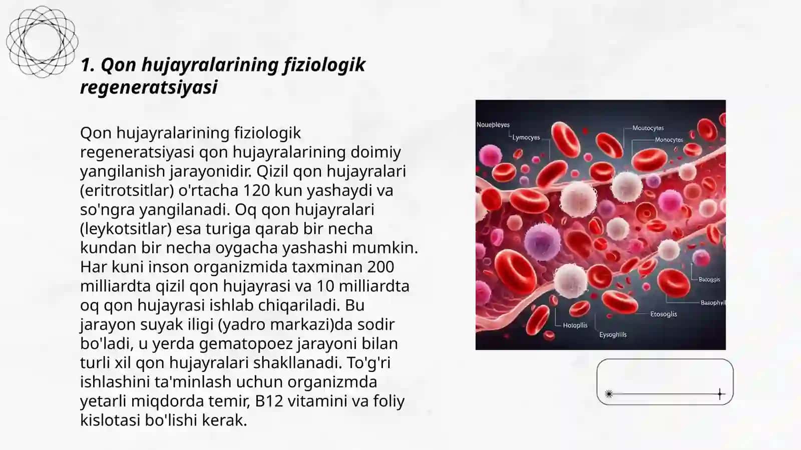 Qon hujayralarining fiziologik va reparativ regeneratsiyasi mexanizmlari 3