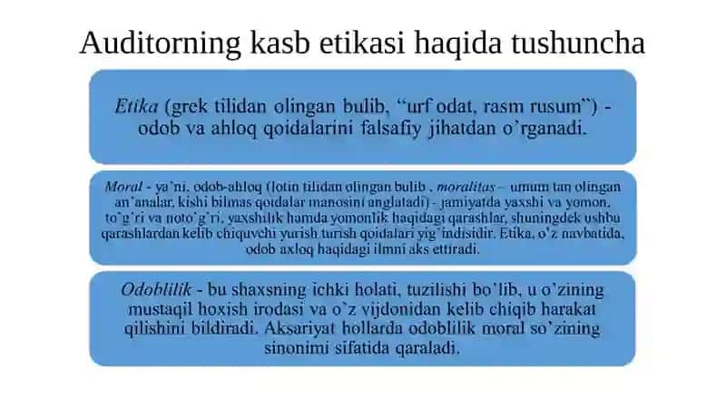 Auditorning Kasb Etikasi 3