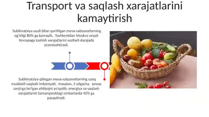 Sublimatsion usulda meva va sabzavotlarni quritish jararayonining afzalliklari 3