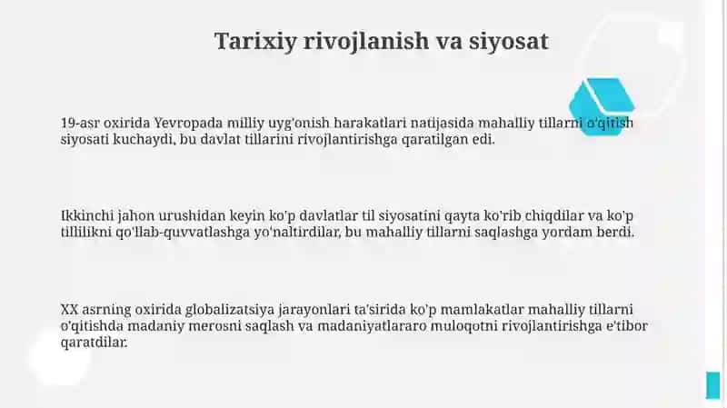 Ona tili ta'limida rivojlangan xorijiy davlatlar tajribasi 3