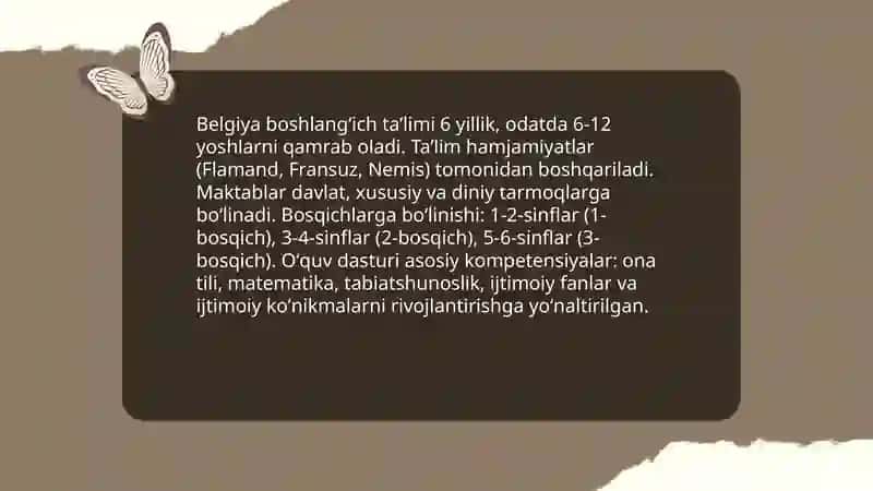Belgiya boshlang'ich ta'lim tizimi 3