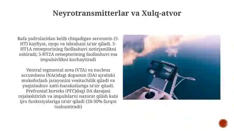 Neyrotransmitterlar va Xulq-atvor 3