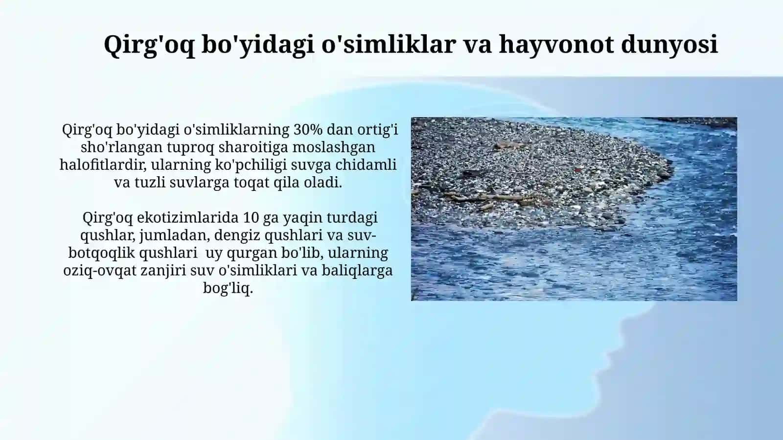Daryo va Dengiz Sohilini Qayta Ishlash Jarayonlari 3