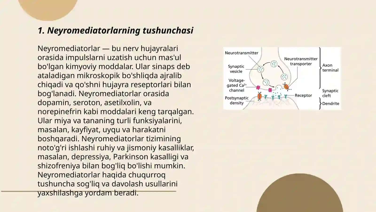 Neyromediatorlar biosintezi, ahamiyati va kasalliklari 3