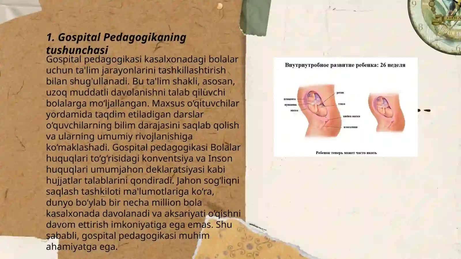 Gospital Pedagogika 3