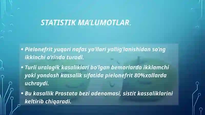 O’tkir Pielonefrit 3