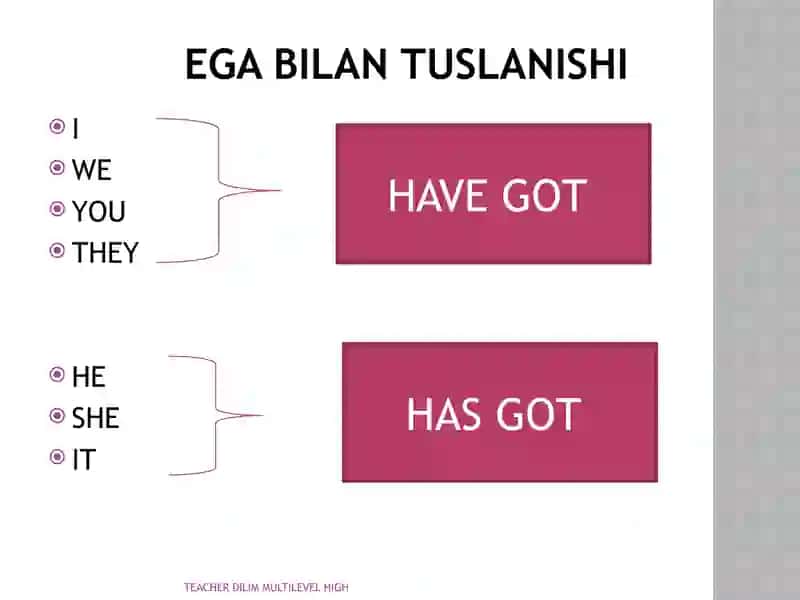 HAVE GOT /HAS GOT ENGLISH GRAMMAR O'ZBEKCHA TARJIMASI BILAN 3