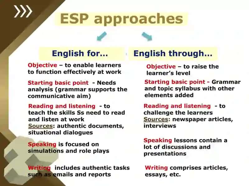 THE ROLE OF THE STUDENT ESP 3