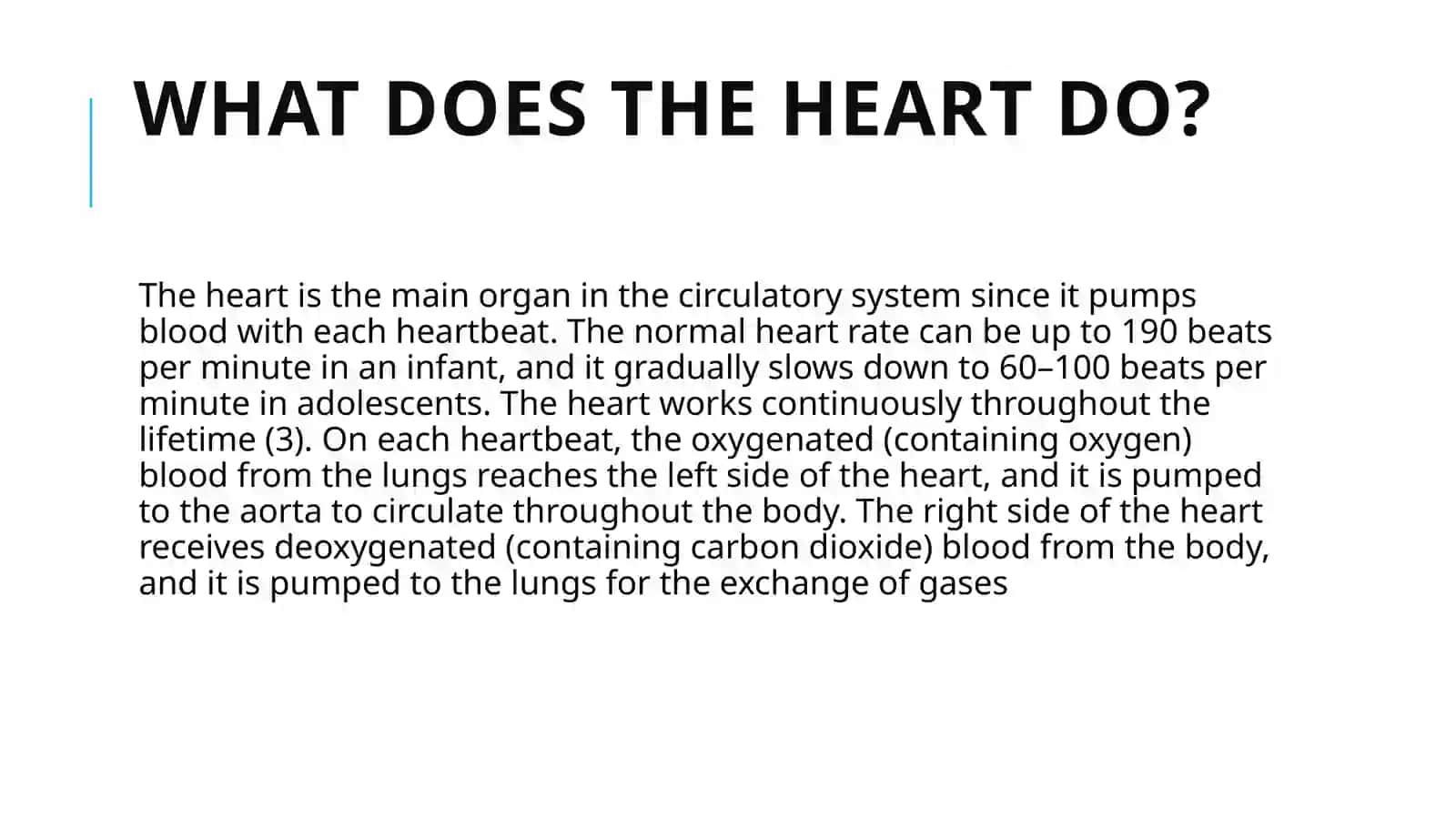 Heart and circulation 3