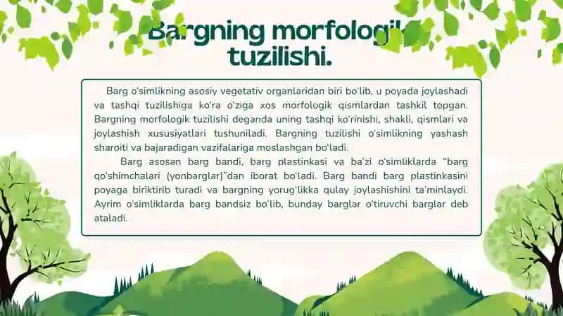 Barglarning anatomik va morfologik tuzilishi. 3