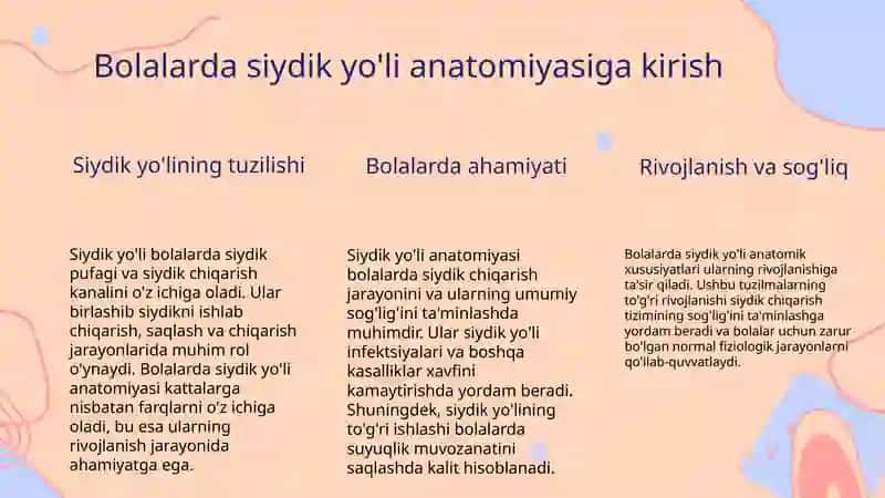 Bolalarda siydik yo'li, siydik pufagi, siydik chiqarish kanali antomo - fiziologik xususiyatlari 3