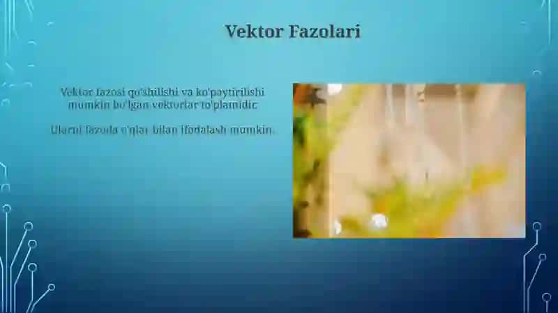 Vektorlar 3