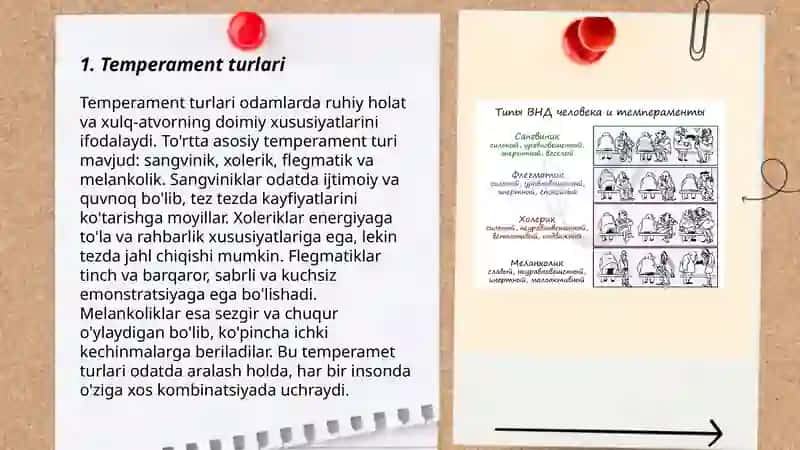 Temperament, harakter va ularning xossalari 3