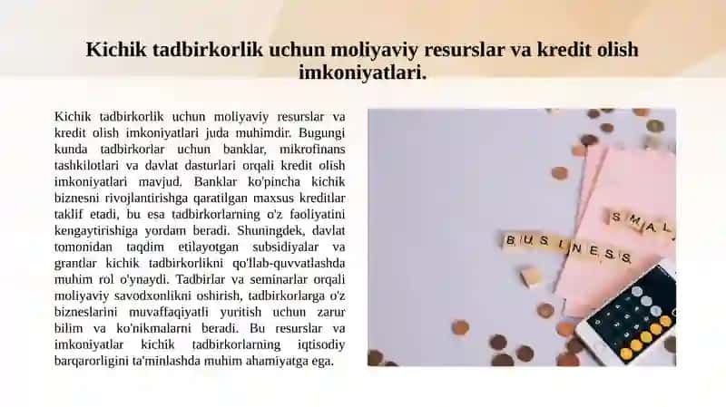 Kichik tadbirkorlik uchun moliyaviy resurslar va kredit olish imkoniyatlari 3