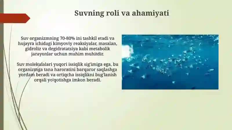 Arganizimning suv-disperssistemasi 3
