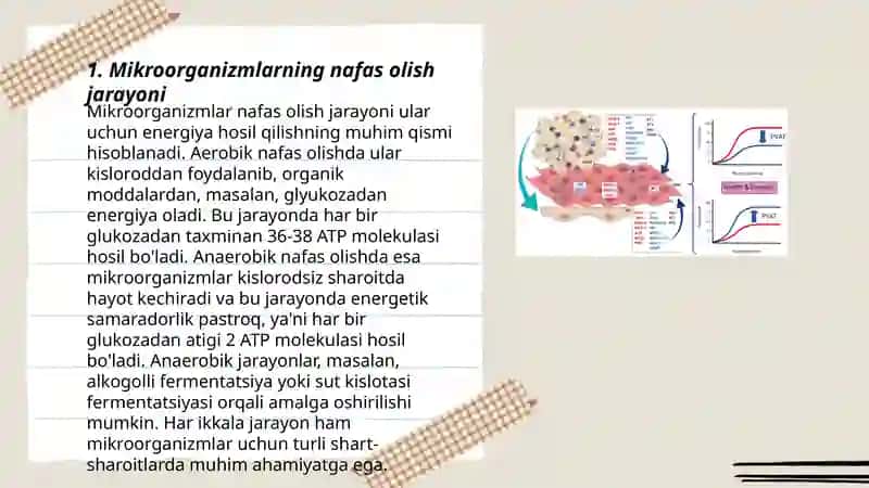 Mikroorganizmlar fiziologiyasi 3