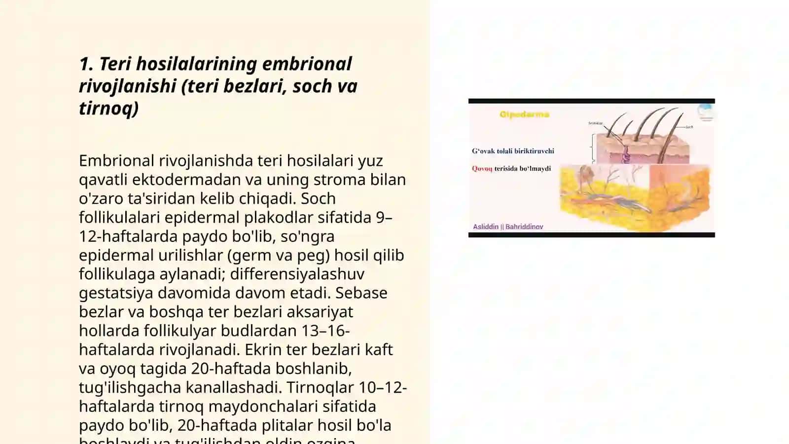 Teri hosilalari teri bezlari, soch va tirnoq gistologiyasi 3