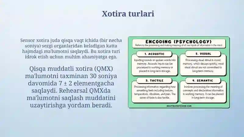 Xotira turlari va ularning jarayonlari 3