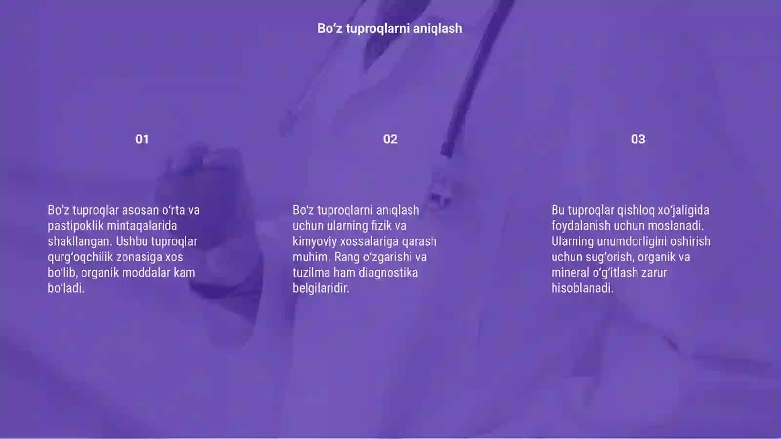 Bo‘z tuproqlar haqida malumot 3