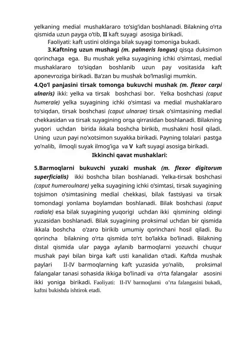 Yelka, bilak va qo’l panja mushaklari va fastsyalari. Qo’l topografiyasi 3