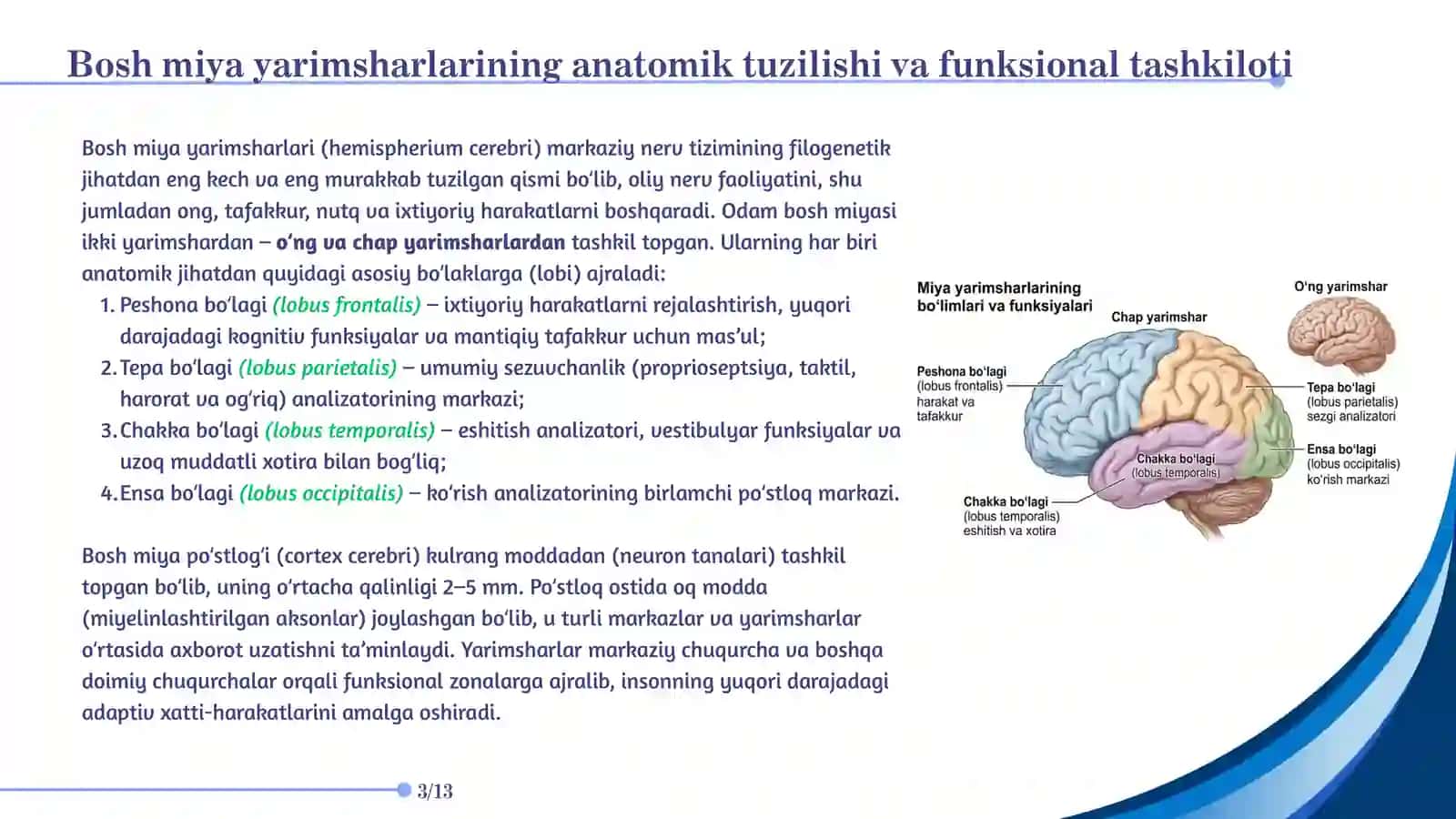 Bosh miya yarimsharlari, oliy nerv faoliyati va markazlari, yarimsharlar zararlanishi sindromlari 3