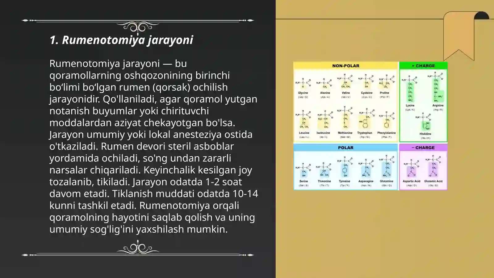 Qoramollarda rumenotomiya operatsiyasini oʻtgazish texnikasi Zooenjinirya 22-129 3